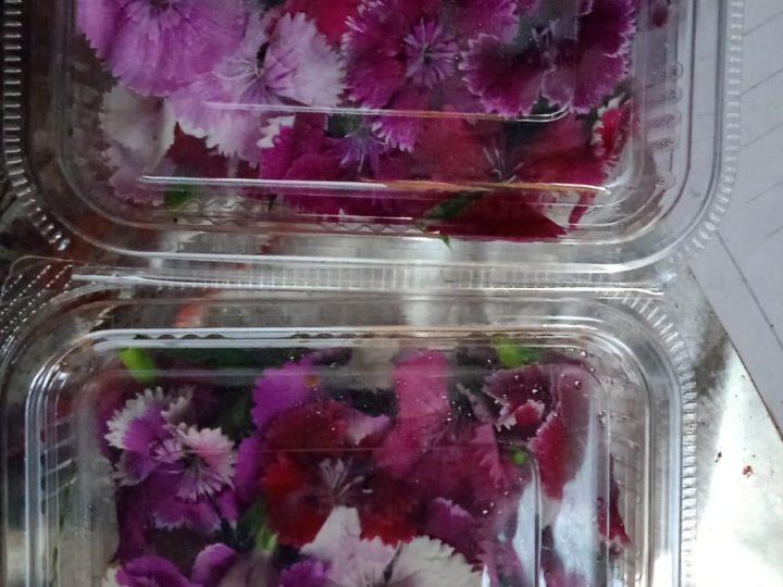 A clear box of purple and white edible flowers