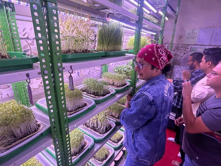 Trainees standing between racks of microgreen trays under grow lights