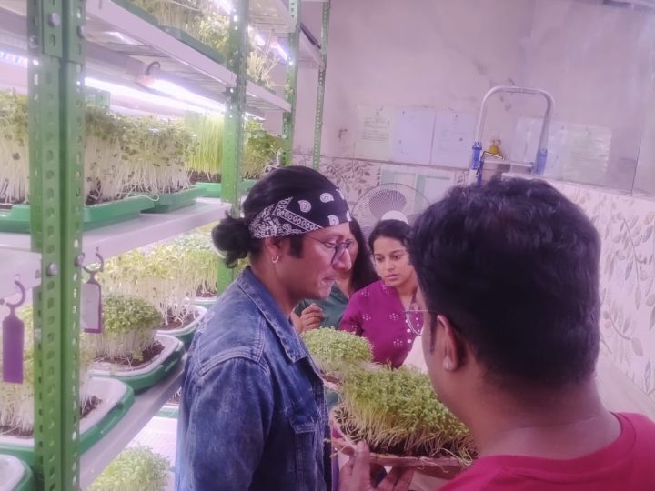 Ravindra G showing a tray of microgreens to workshop participants in the grow room