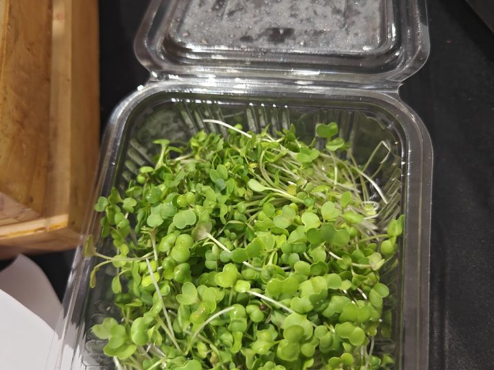 A clear box of fresh microgreens on a table